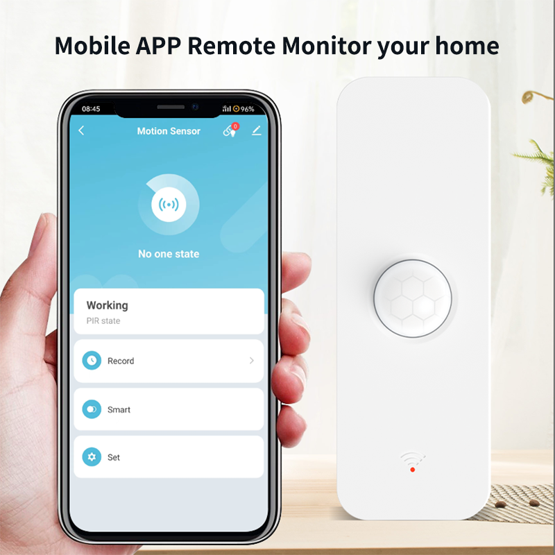 Tuya WiFi Zigbee PIR Bewegings - Smart Home Web recensie en prijs