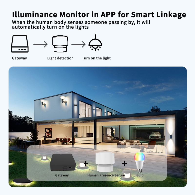 Zigbee of Wi-Fi-sensor voor me - Smart Home Monitoring recensie en prijs