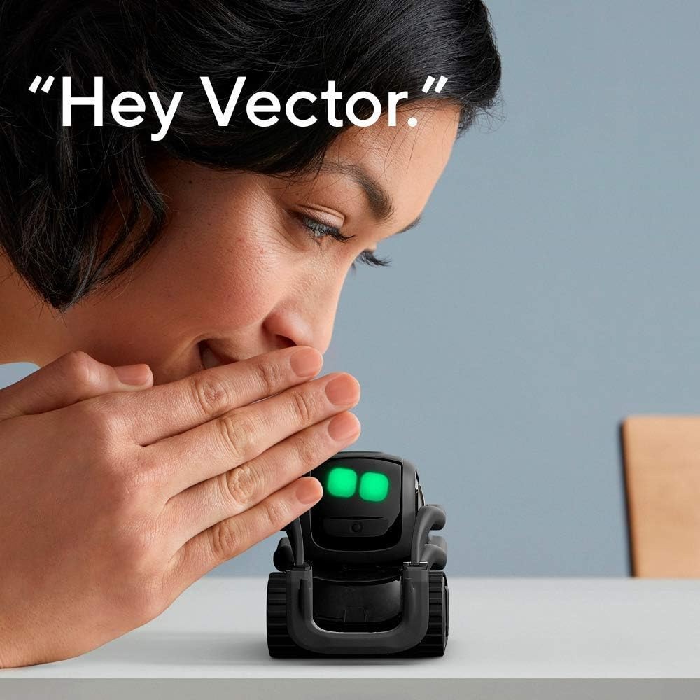AI ChatGPT 2.0 Verbonden Robot - Smart Home Controller recensie en prijs